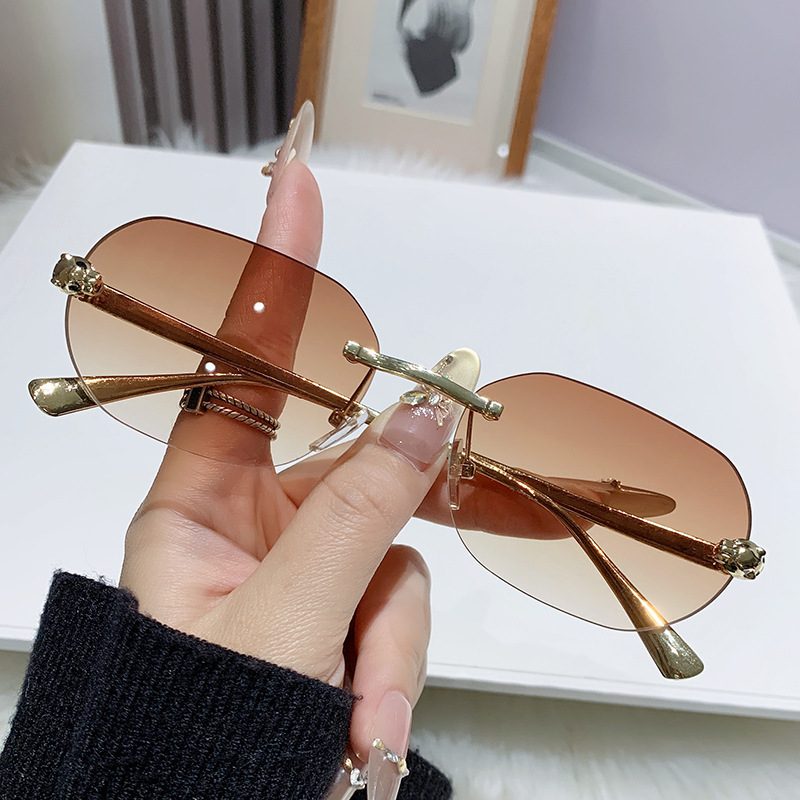Vintage Fashion Tiktok - ZXIAC tendencia Retro gafas de sol